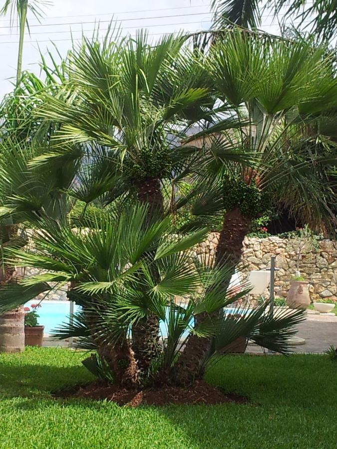 Villa Manzella Piscina Privata Чинизи Экстерьер фото